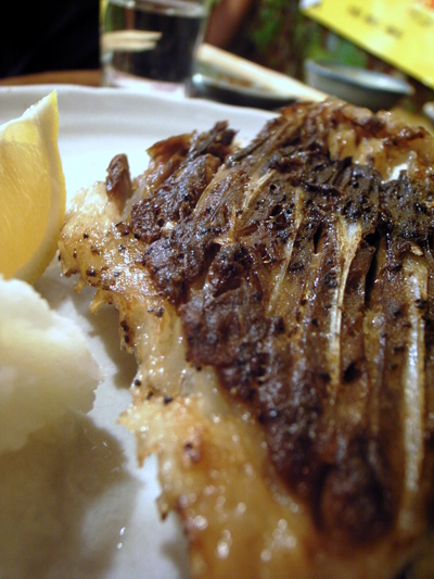 081205�Ĥ���̵̾��