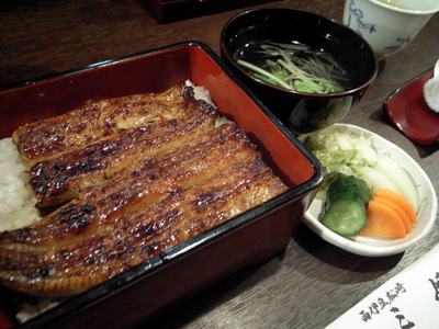 090311�������ʤ�