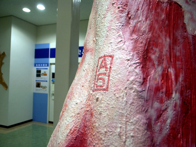 090201����A5