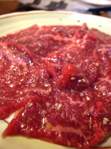 081026���ٱ��������