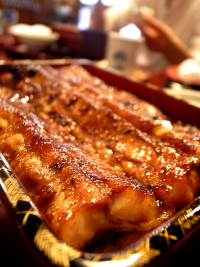 081130���ɤ��ʽť��å�