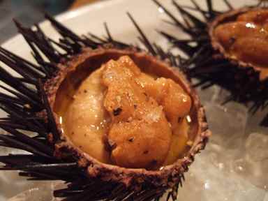 ����ץ�ݡ�����