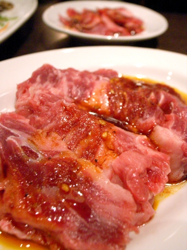 080805芝浦メガネ800