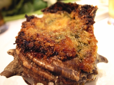 070707���亮���������Υ�����å��Х���