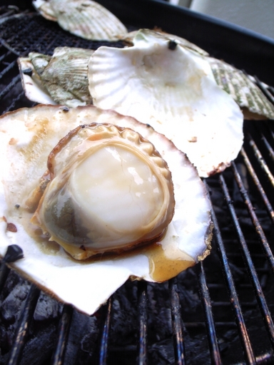 081109BBQ��Ω�ž夬��