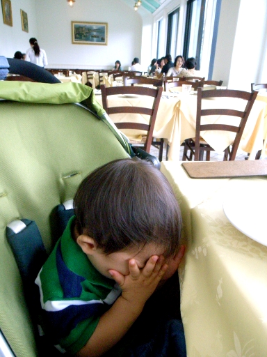 080831��˾��