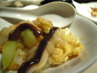 081010������Ź������