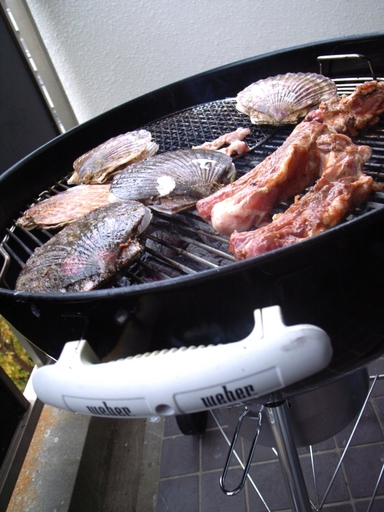 081109BBQweber