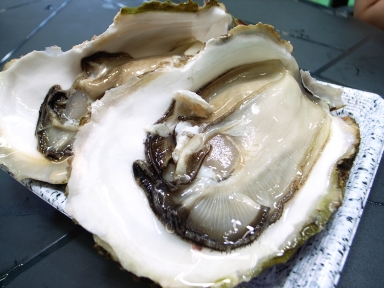 070806宮古市場牡蠣アップ