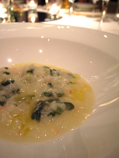 081206�ѡ����ѥ�᥶��꥾�å�