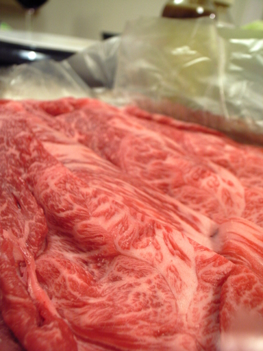 081214dancyu�Ṿ��