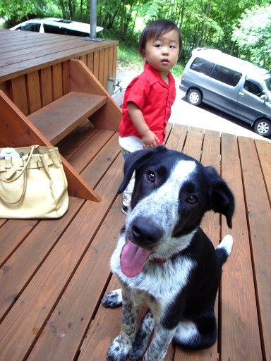 080808���餤���Τ��͸��ȿ�