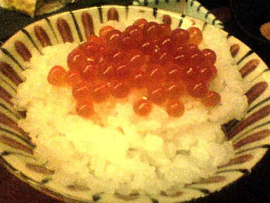 050511Ԥ���餴�Ϥ�Ȥ�����.jpg