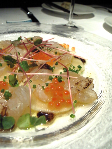 081115���亮��ʿ�ܤΥ���ѥå���