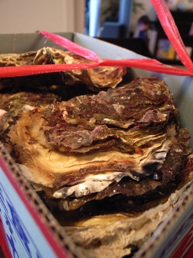 081109BBQ����