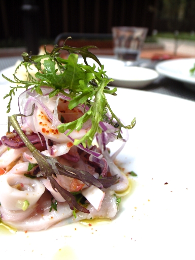 080412���åȥɡ��륤�������Υޥ��