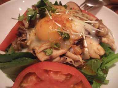 �ϥ쥫�����������