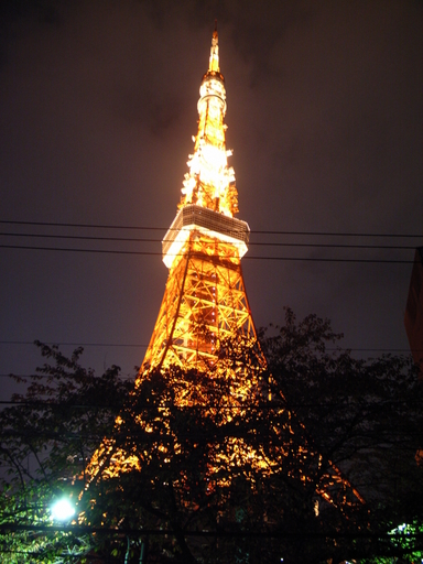 081115���亮��������