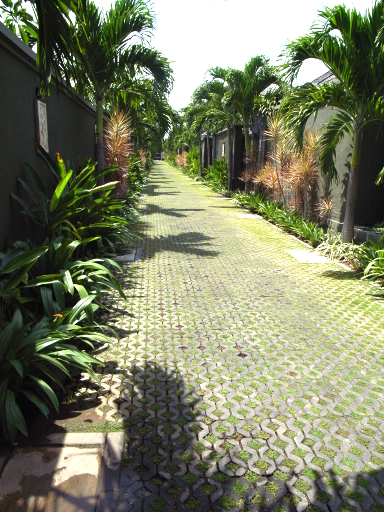 080915�Хꥦ�����ϩ