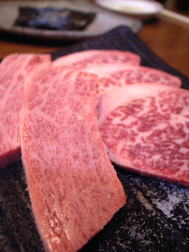 081026���ٱ���奫���