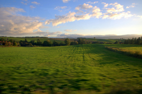 DSC_0414