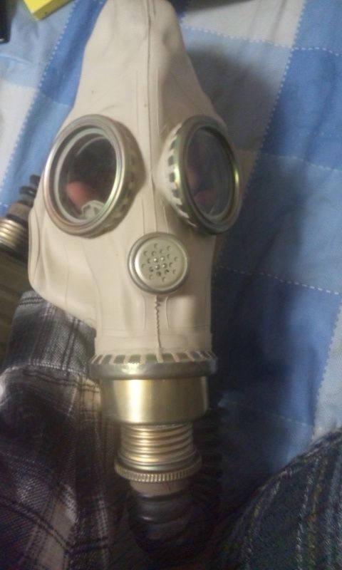 14年03月16日 ドジなカラスの壁ドン日記