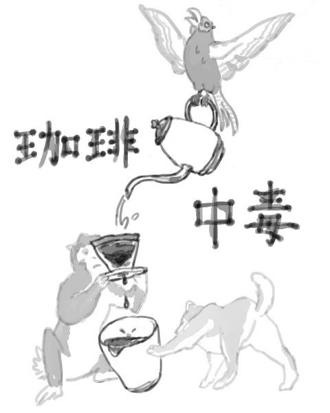 coffee