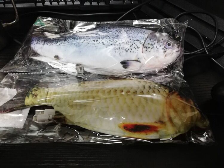 【画像】通販で10円以下で購入できる魚がこちら