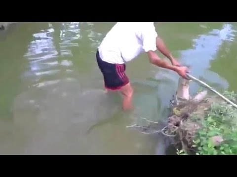 【動画あり】電気ウナギを捕まえようとしたおじさん「オヨヨヨヨヨヨヨヨヨヨヨヨ」