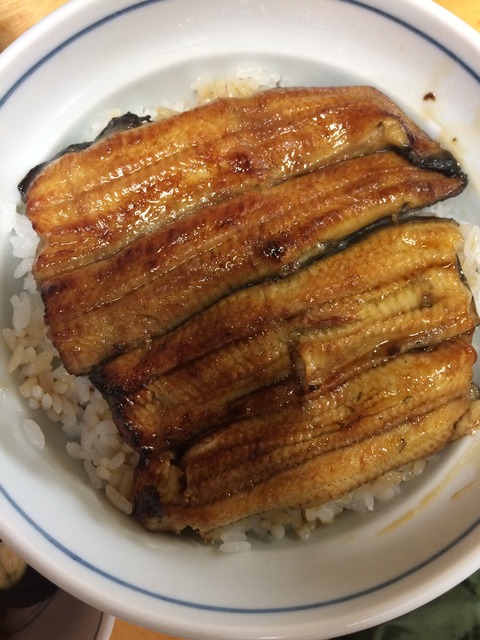 unagi