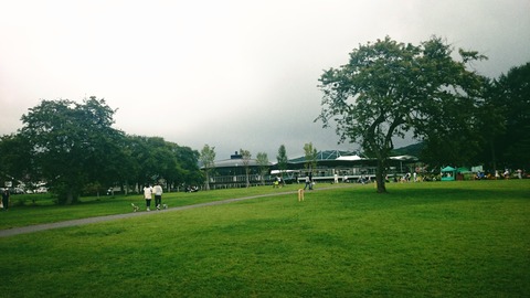 Fotor_147191789091885
