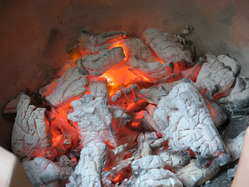 DSCN3055