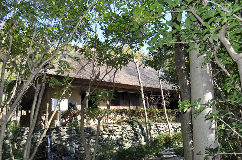 四国の囲炉裏 : 囲炉裏・火鉢・七輪のうんちく － 炭火道