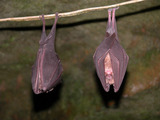 DSCN2091