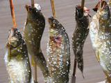 魚串4.jpg