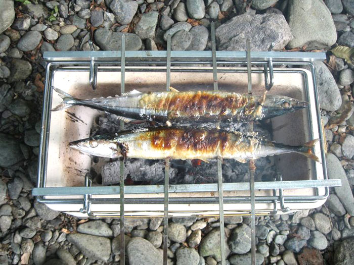【入手困難】七輪本舗 焼鳥秋刀魚 七輪 七輪本舗 焼鳥秋刀魚七輪