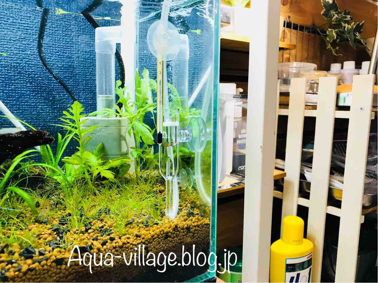 レビュー】ADA CO2アドバンスシステムフォレストを水槽に設置