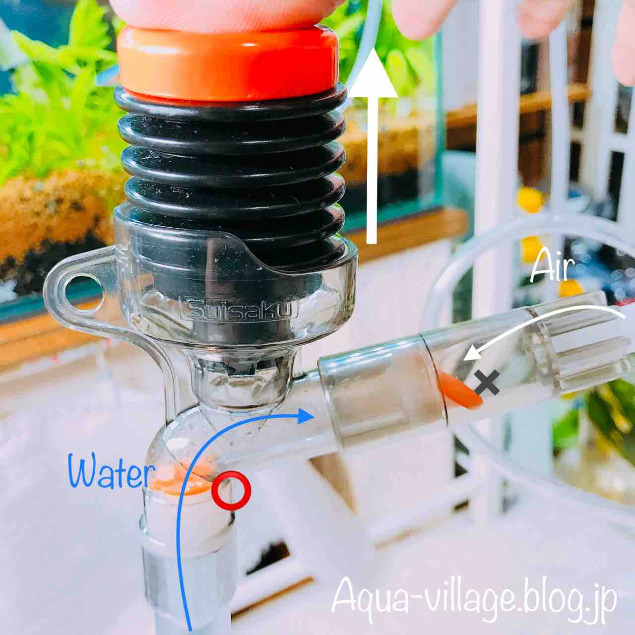 レビュー 超オススメ プロホースエクストラのご紹介 Aquaの村