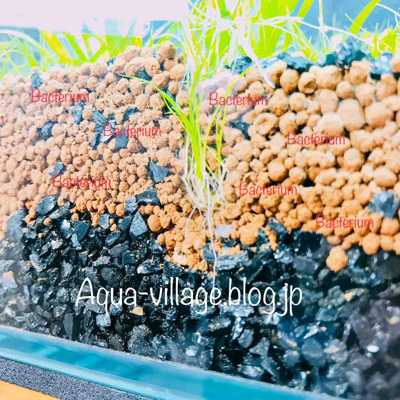 30cm水槽 水槽紹介 2 特許取得 高性能床材コトブキ工芸dr Soil フィルタ編 Aquaの村
