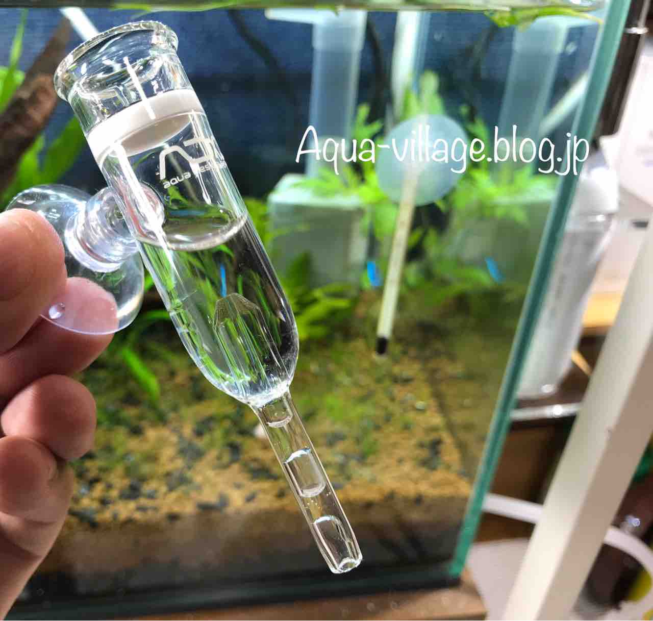 レビュー Ada Co2アドバンスシステムフォレストを水槽に設置しました 導入編 Aquaの村