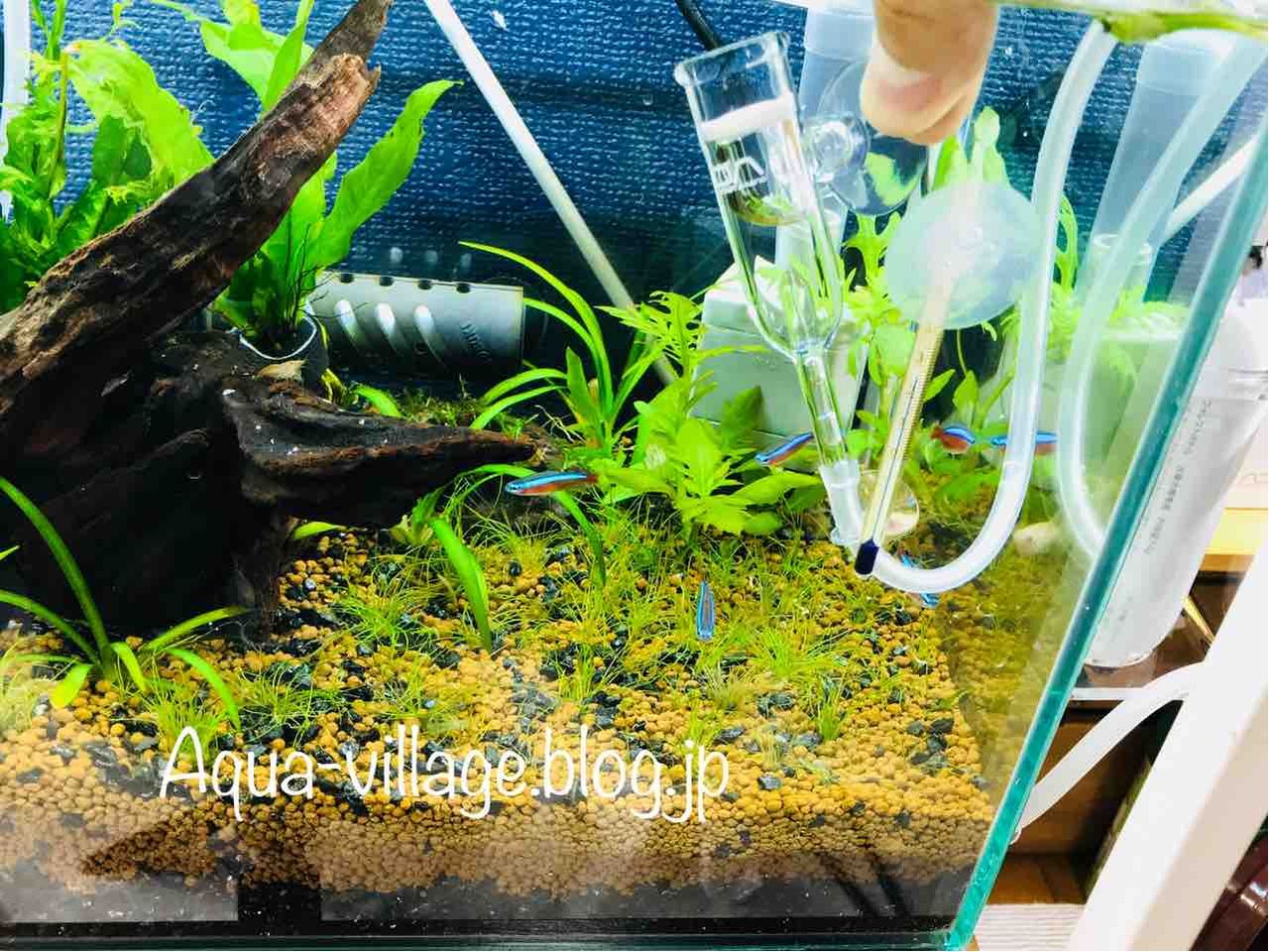 レビュー】ADA CO2アドバンスシステムフォレストを水槽に設置しました