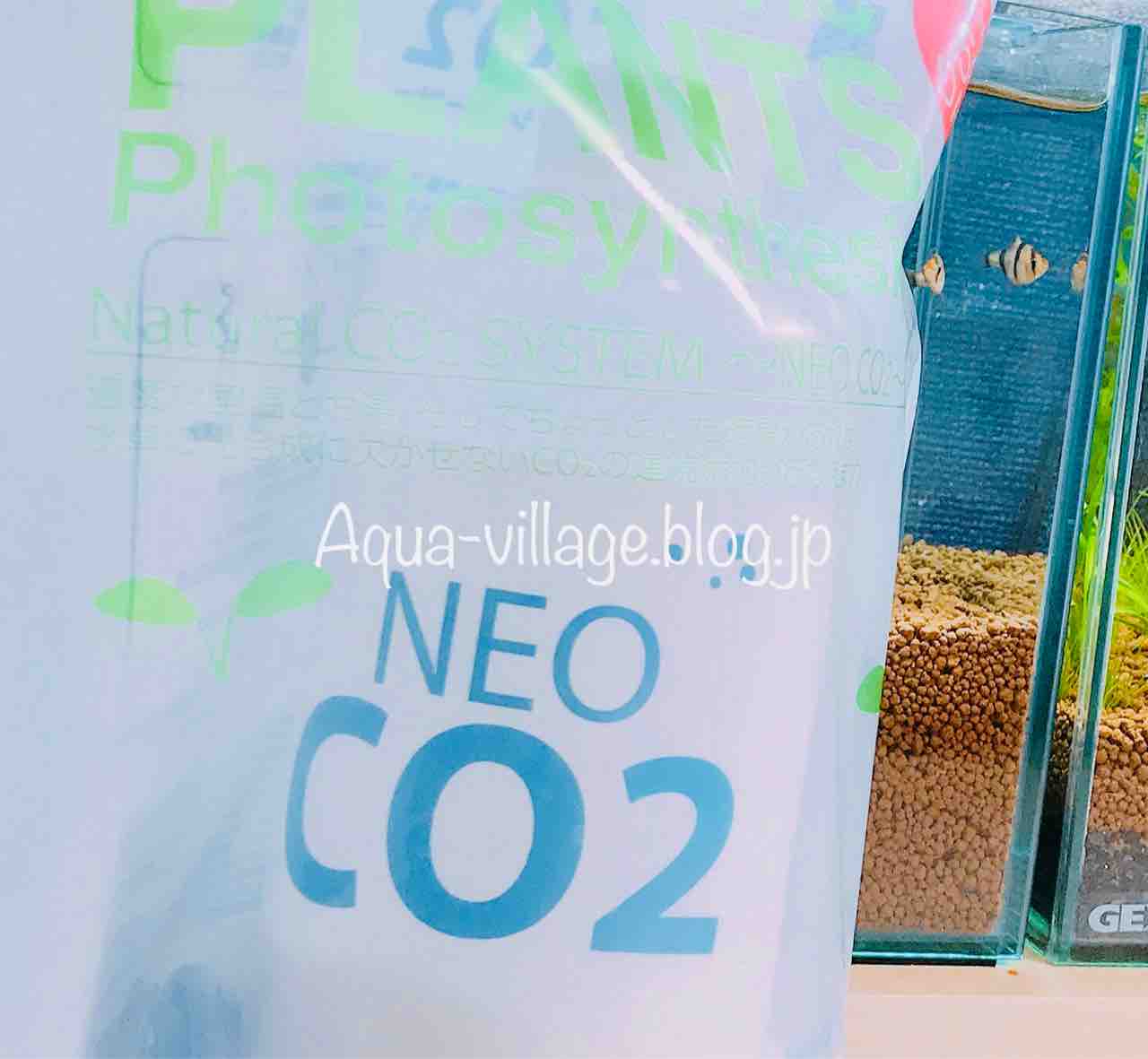 レビュー 発酵式co2で50日 Neo Co2を使ってみた 1 紹介編 Aquaの村