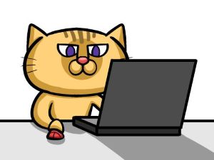 2025年の株式投資、年間騰落率は ＋19％でした☆