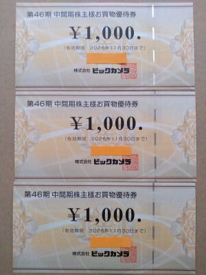 【恩株】配当金と株主優待で、元本が回収できたビックカメラ