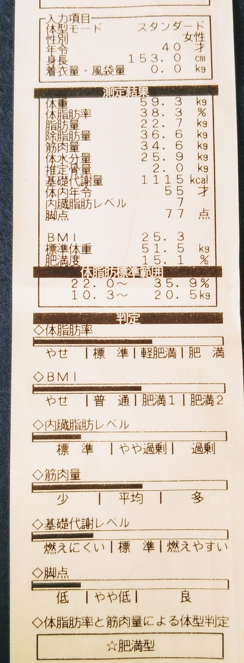 2018年10月17日 さまようデブ女