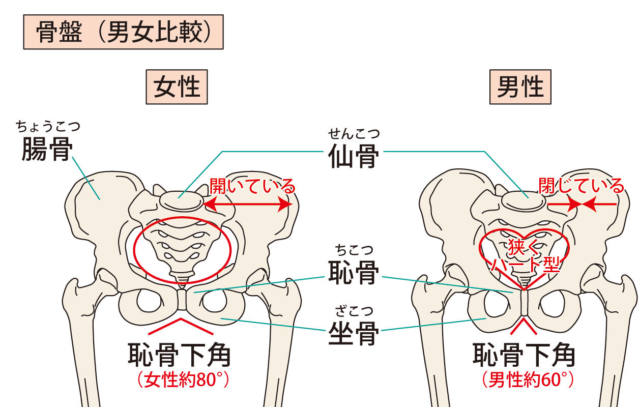 股関節の痛み 詰まり感 まにわ整骨院とハレノヒ整骨院
