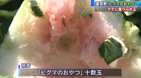 スクリーンショット（2018-08-06 13.12.46）