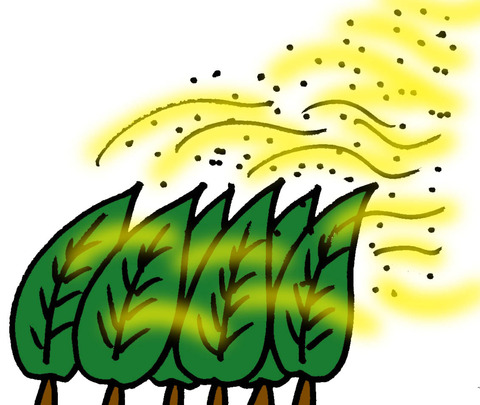 花粉飛散