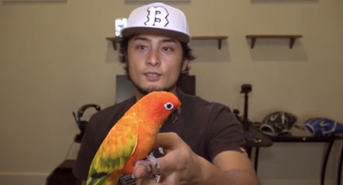 no title