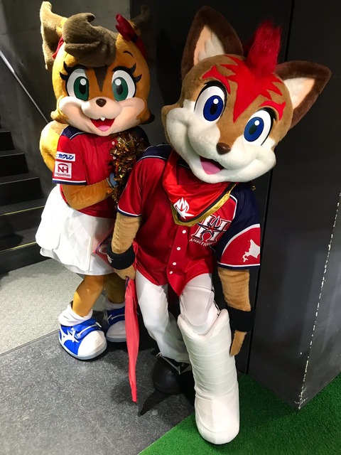 日ハムのフレップ復帰したんやな ファイターズ王国 日ハムまとめブログ 日ハムのフレップ復帰したんやな ファイターズ王国 日ハムまとめブログ